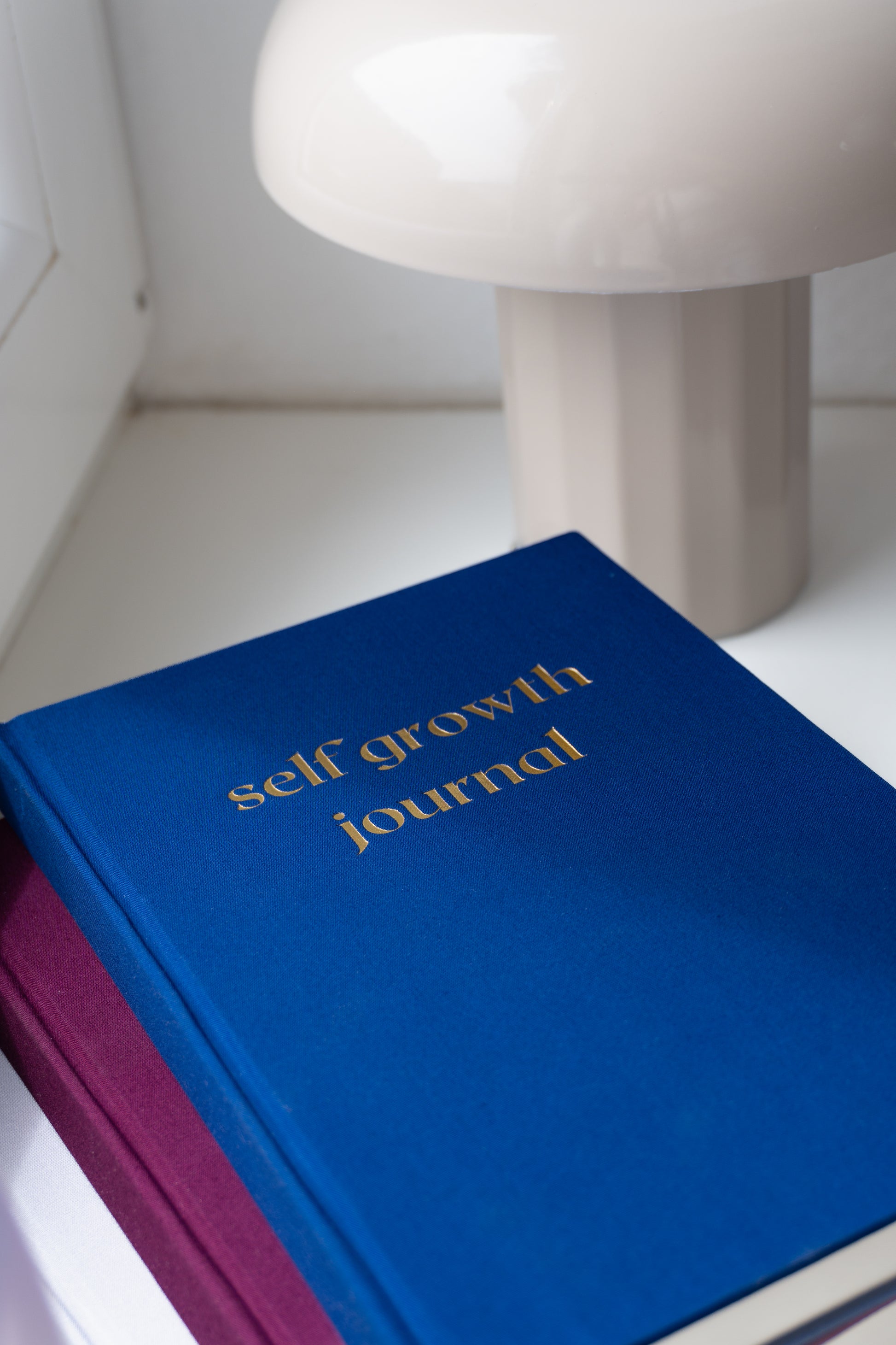 Self Growth Journal - Azul