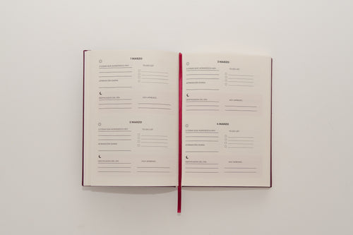 Self Growth Journal - Azul